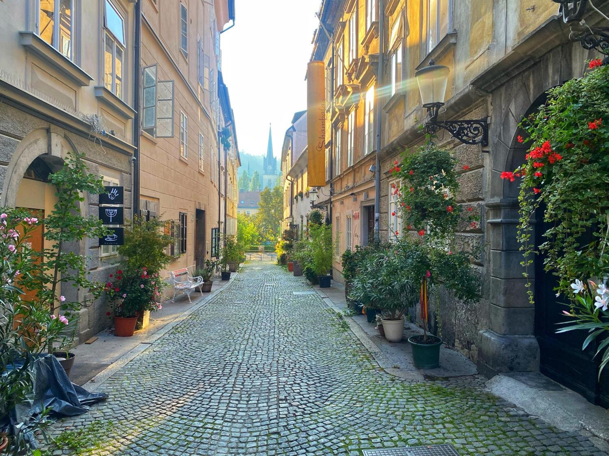 1Br Apartment On The Most Beautiful Street In Ljubljana Center 外观 照片